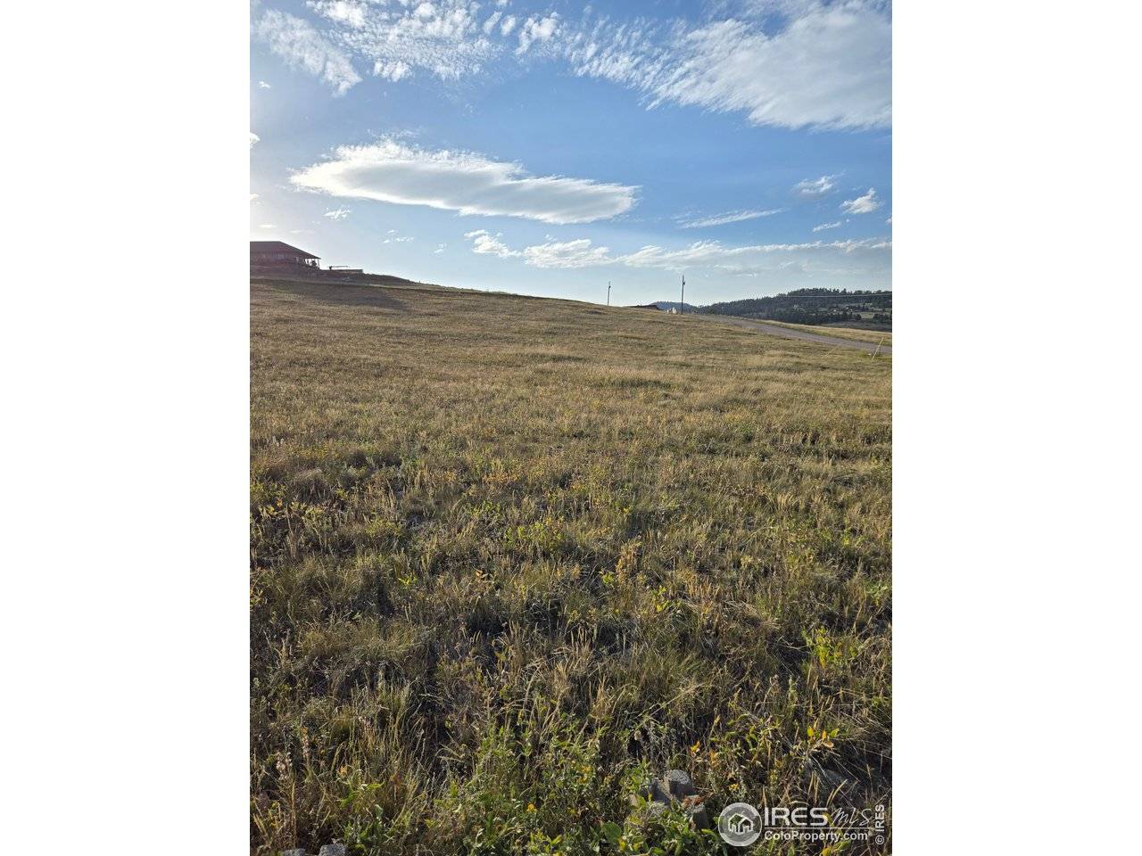 443 Meadow Mountain, Livermore, CO 80536