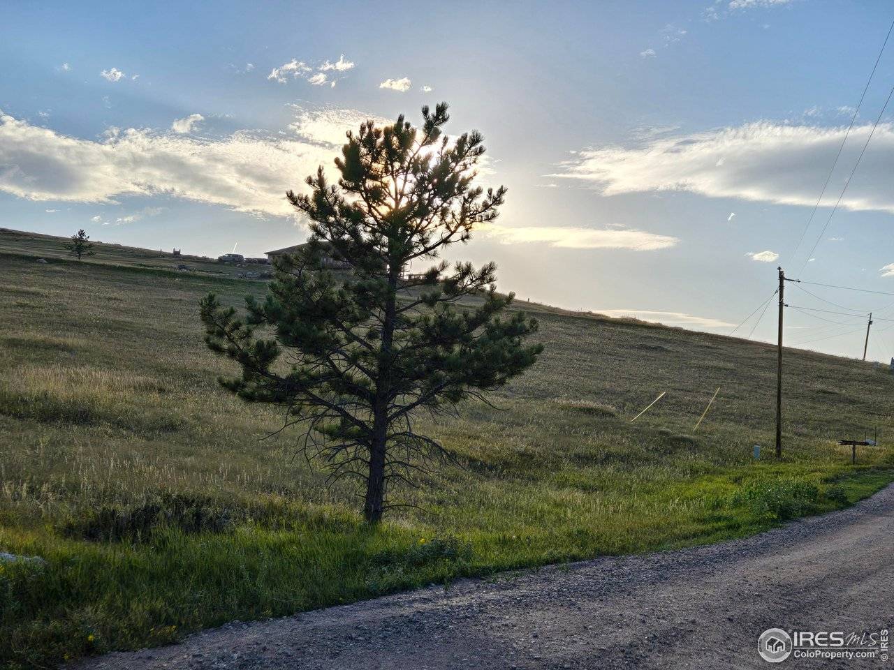 443 Meadow Mountain, Livermore, CO 80536