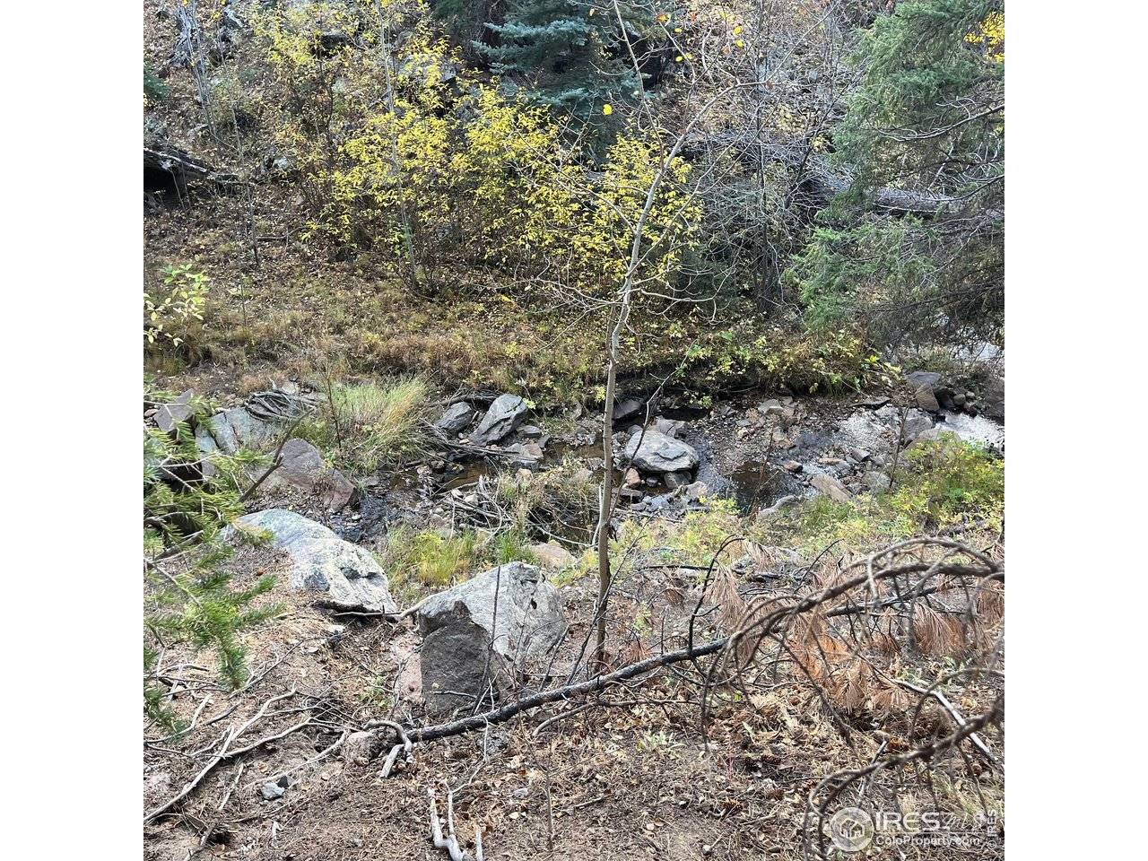 11 Monument Gulch, Bellvue, CO 80512