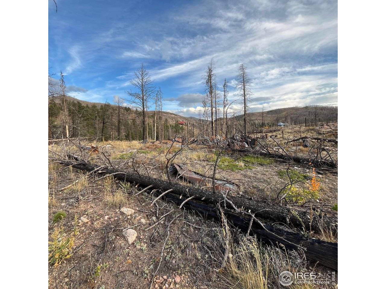 11 Monument Gulch, Bellvue, CO 80512