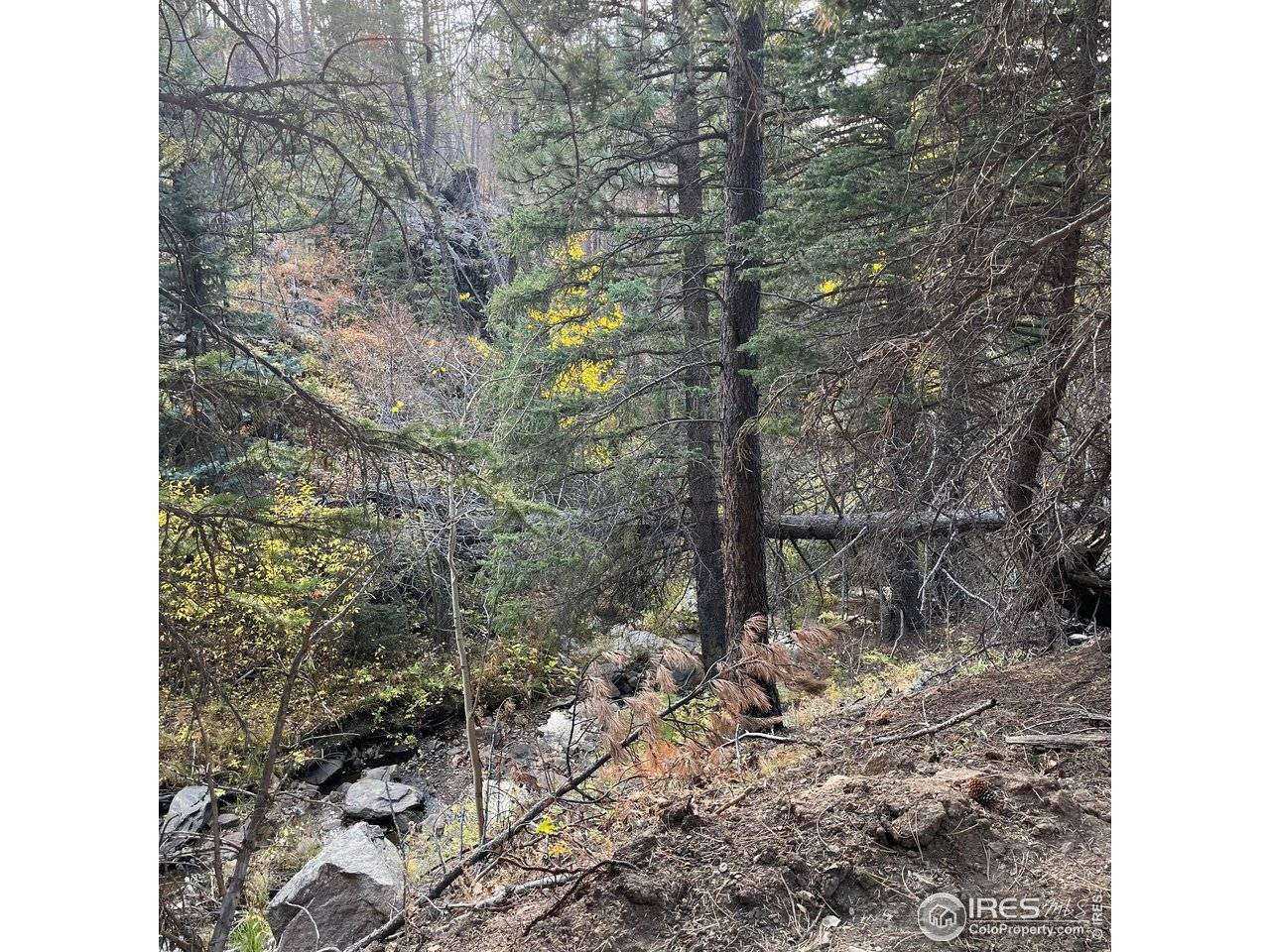 11 Monument Gulch, Bellvue, CO 80512