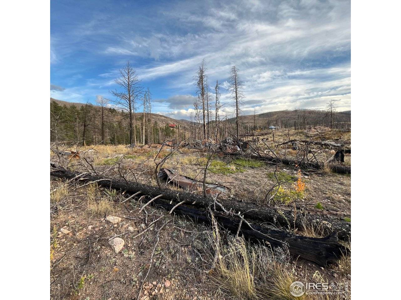 11 Monument Gulch, Bellvue, CO 80512