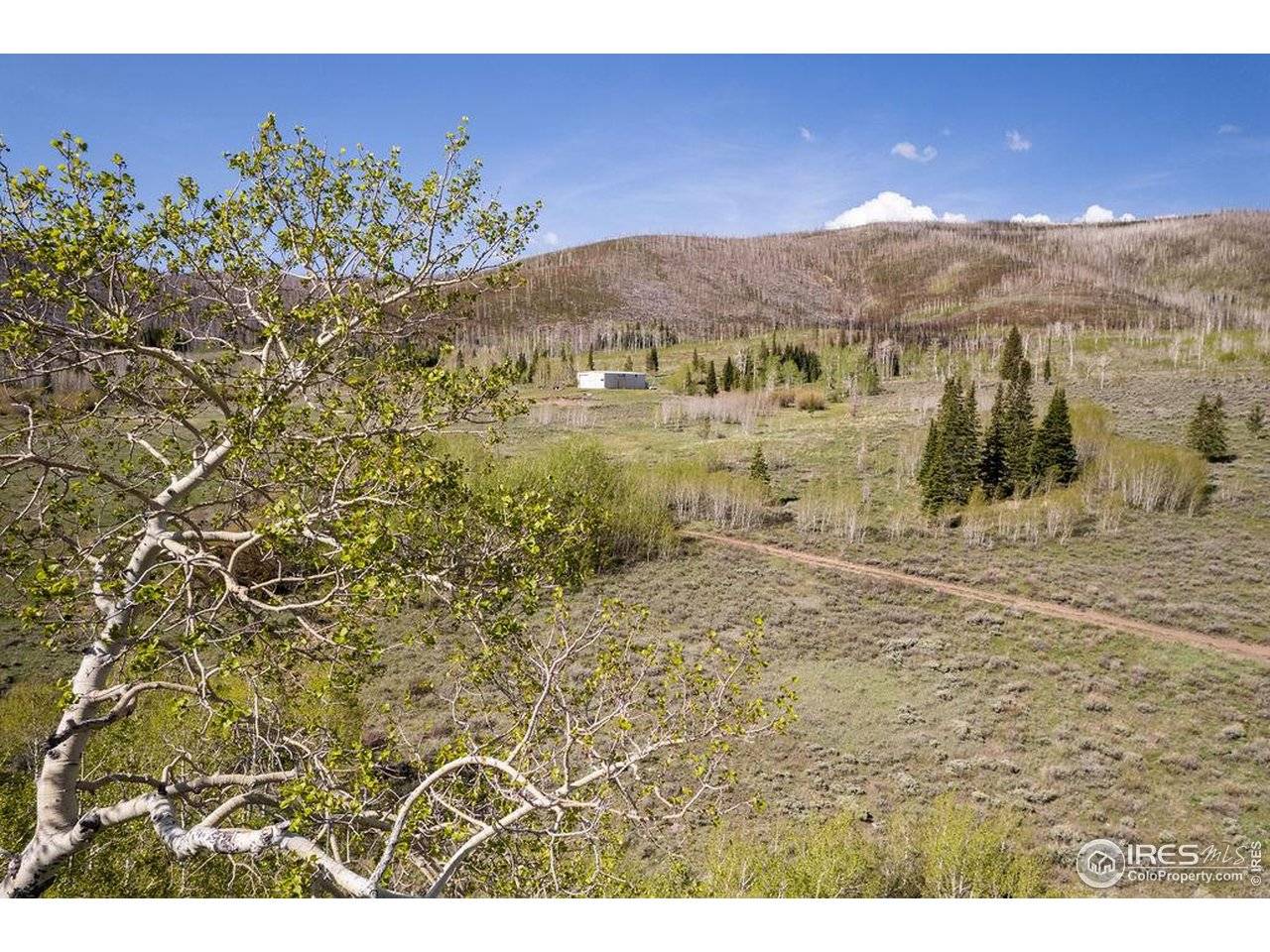 0 Parsons Draw Road, Walden, CO 80480