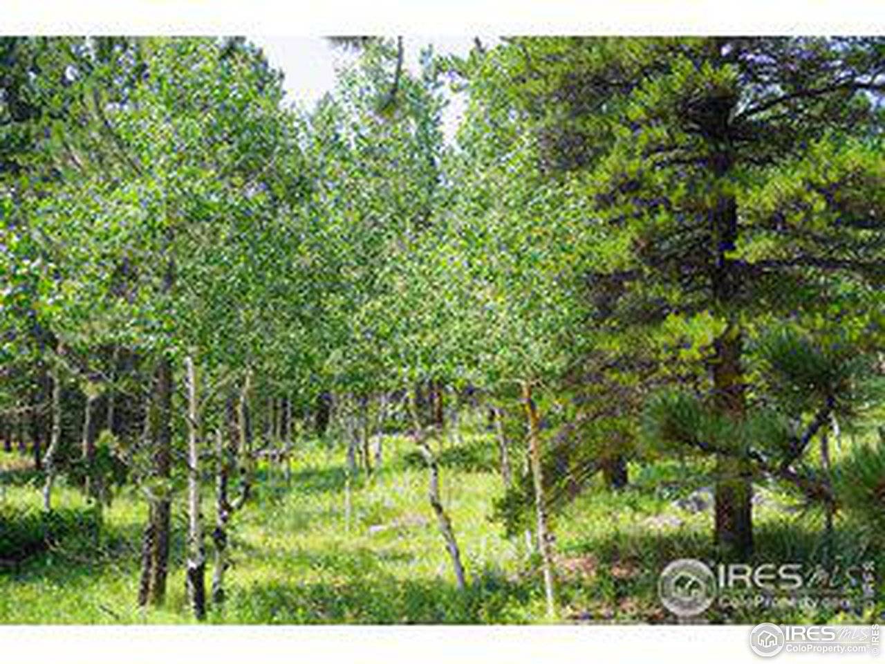 246 Tahosa Park South, Allenspark, CO 80510
