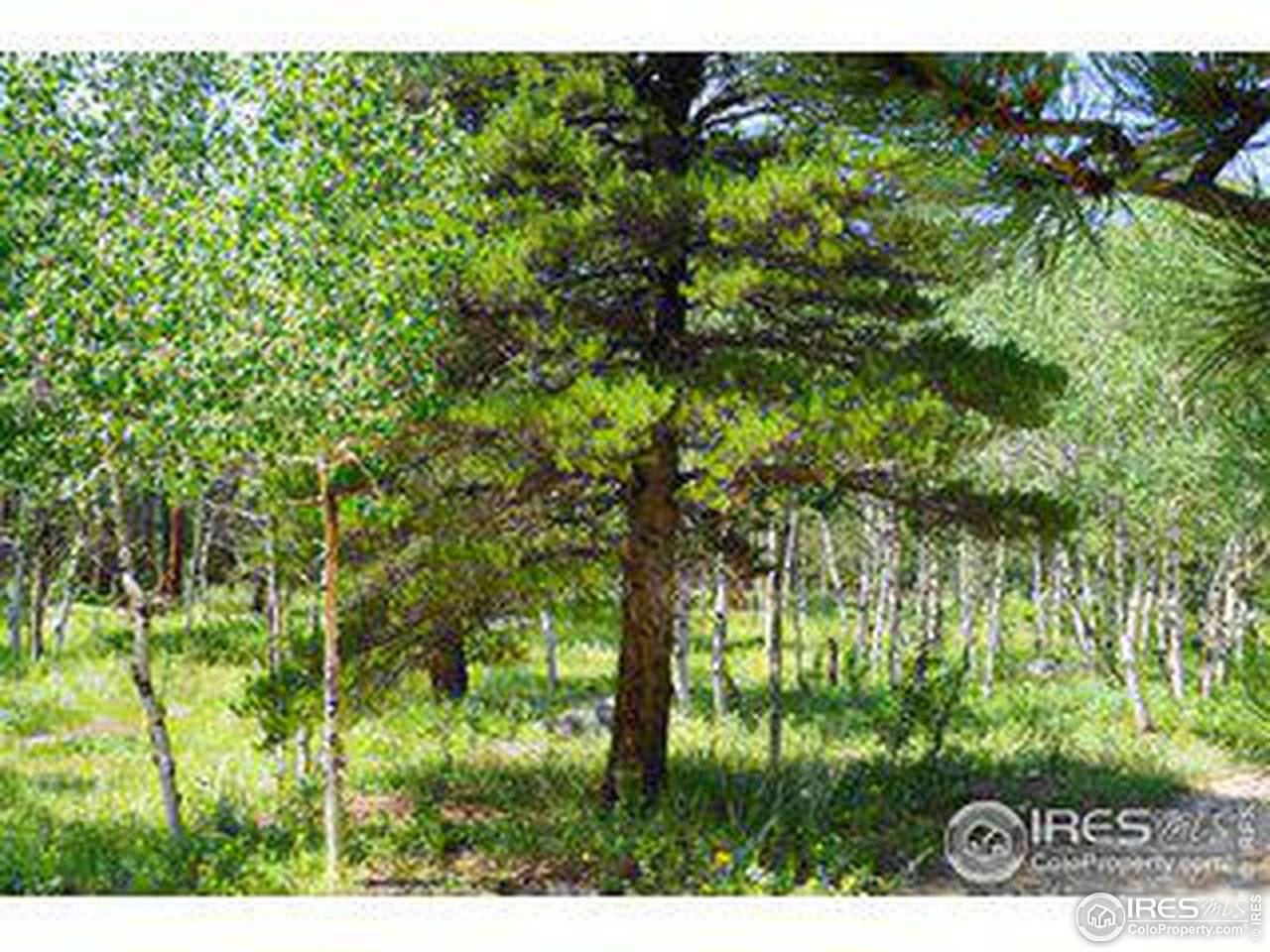 246 Tahosa Park South, Allenspark, CO 80510