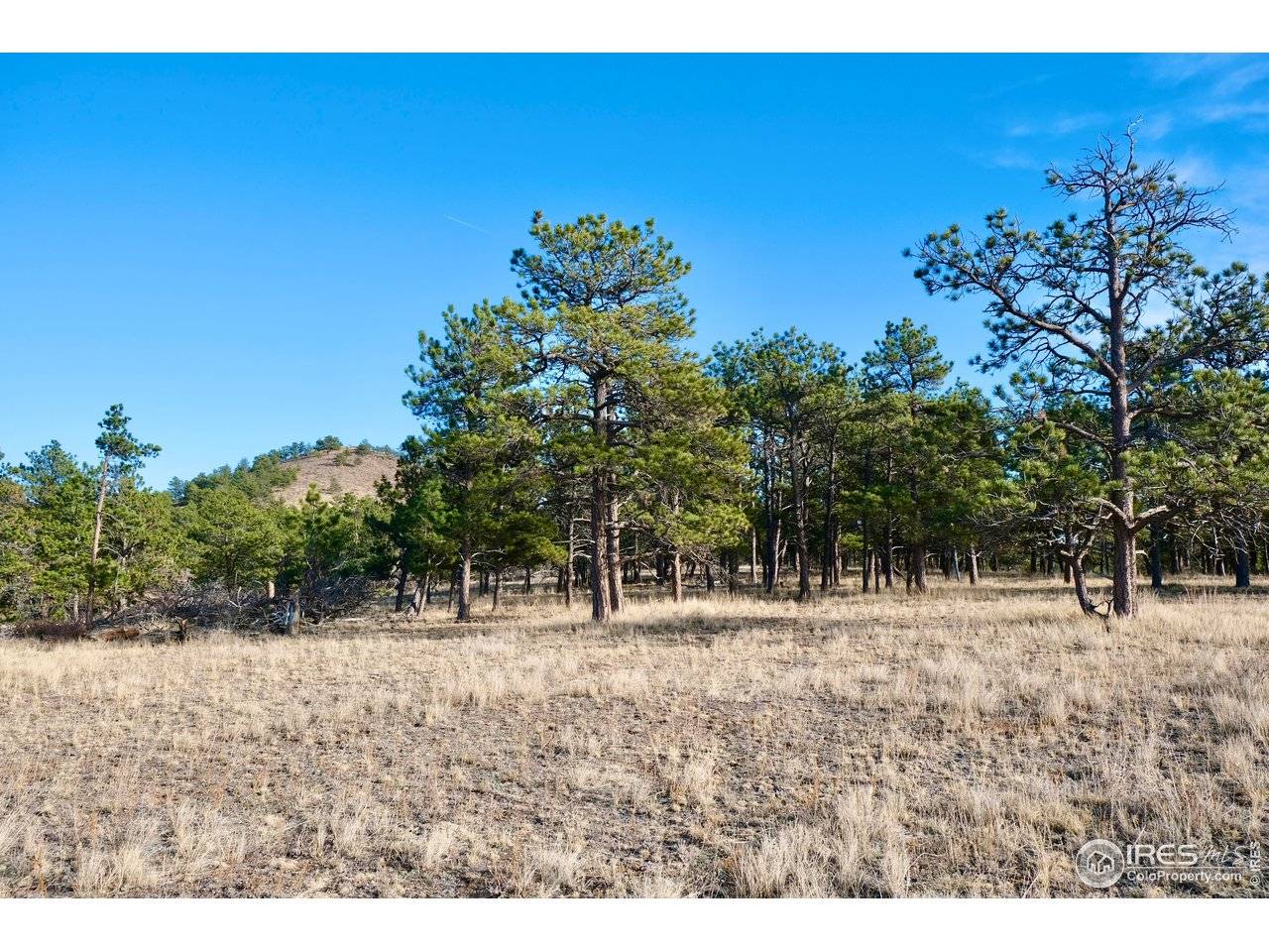 0 Walno, Livermore, CO 80536