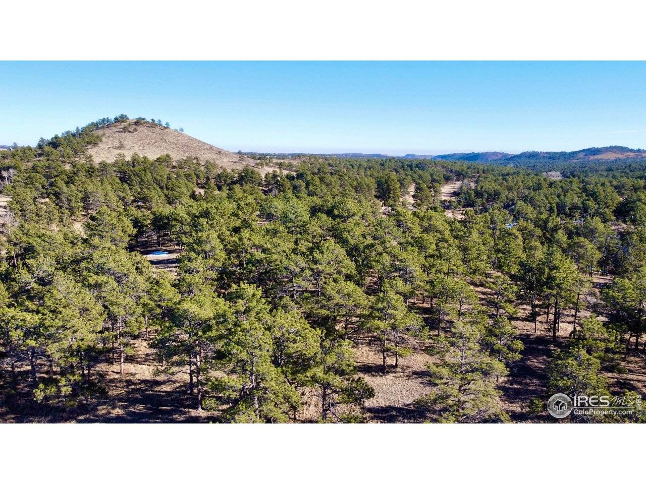 0 Walno, Livermore, CO 80536