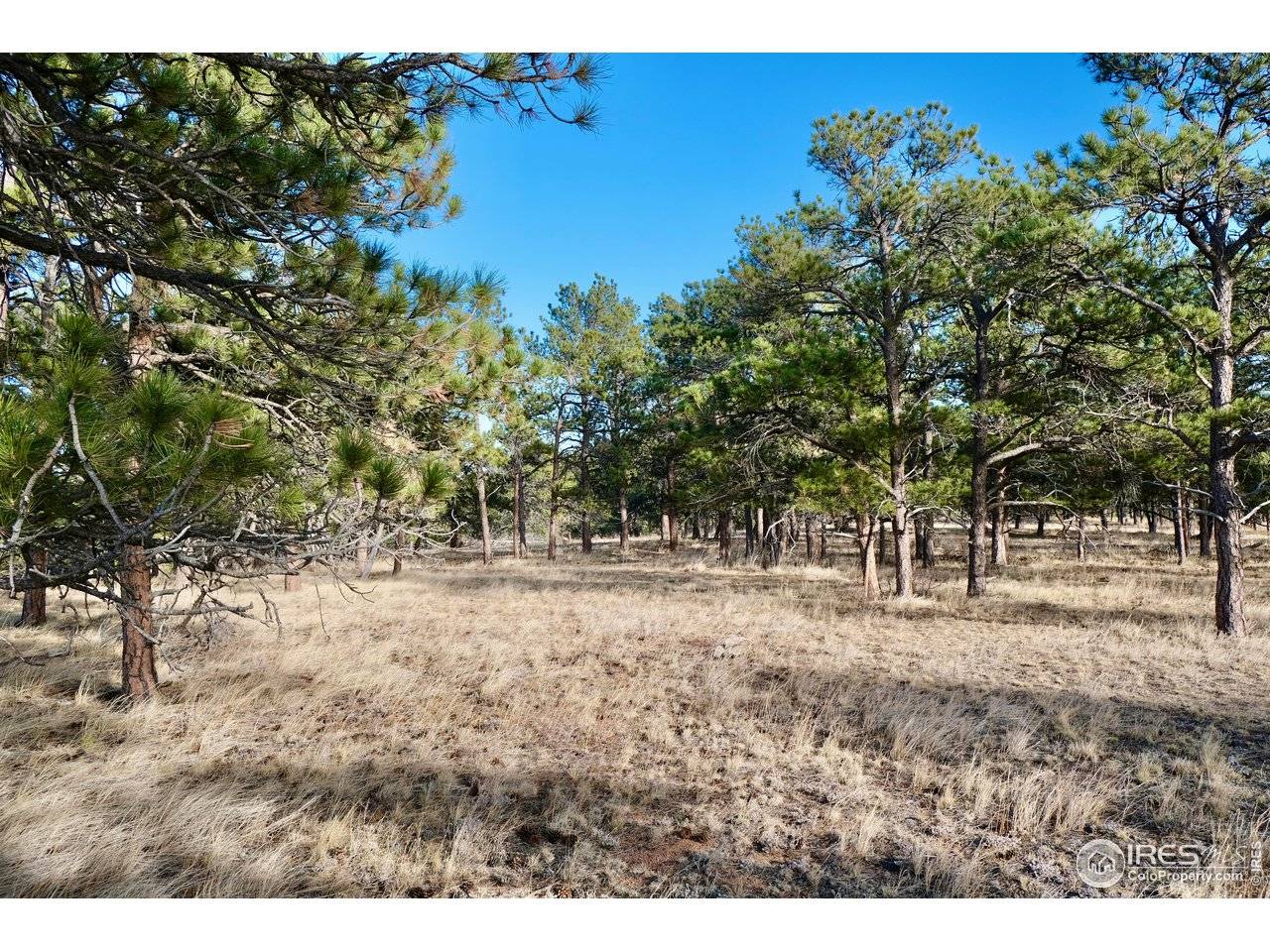 0 Walno, Livermore, CO 80536