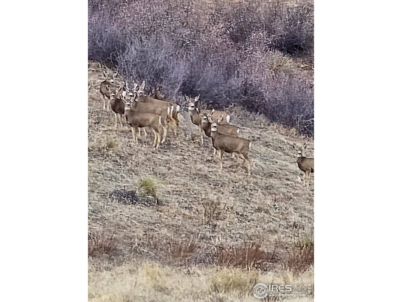 0 Beverly, Berthoud, CO 80513