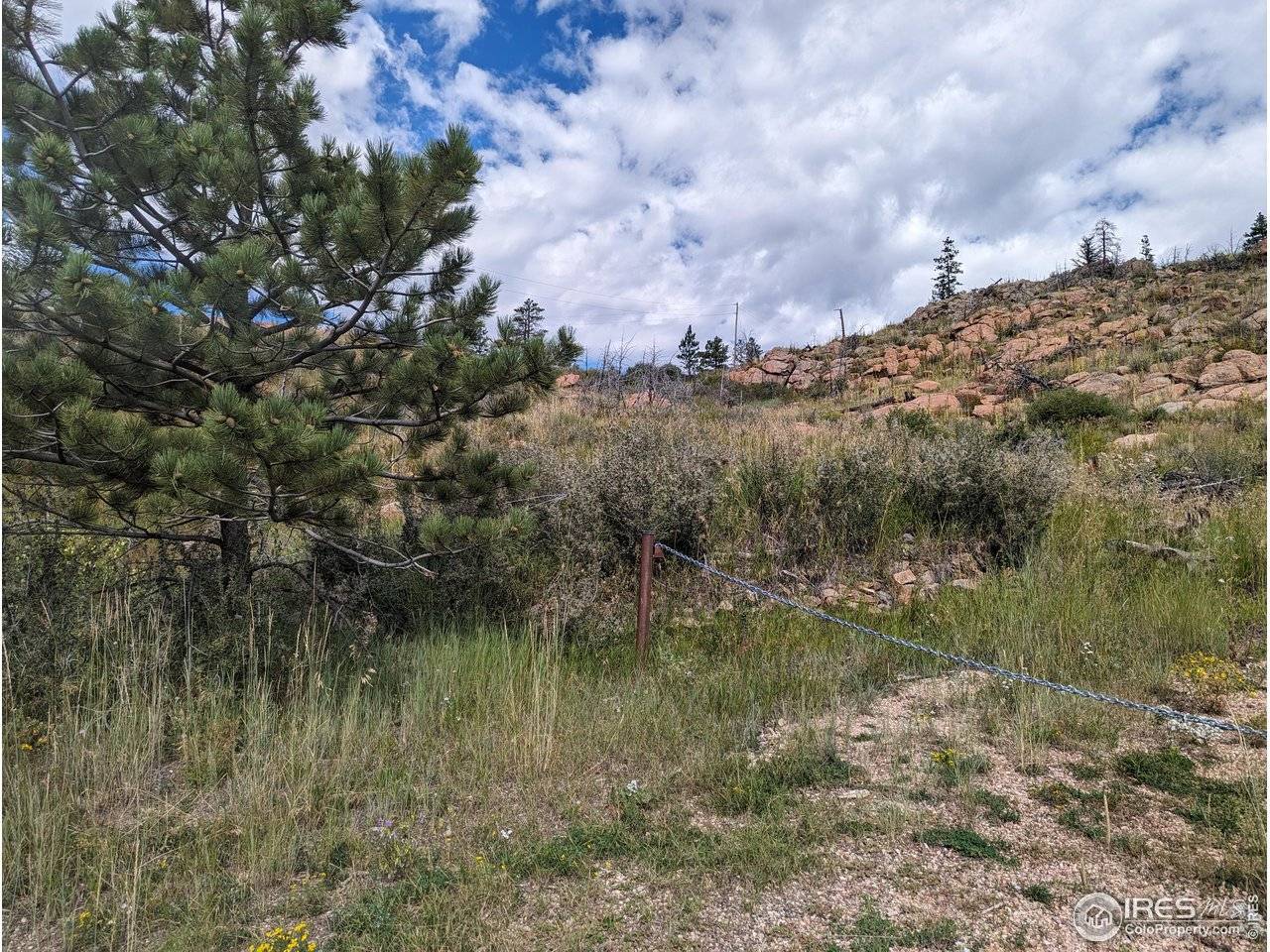 1737 Eiger, Livermore, CO 80536