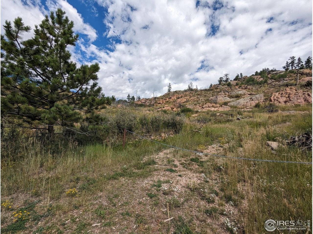 1737 Eiger, Livermore, CO 80536