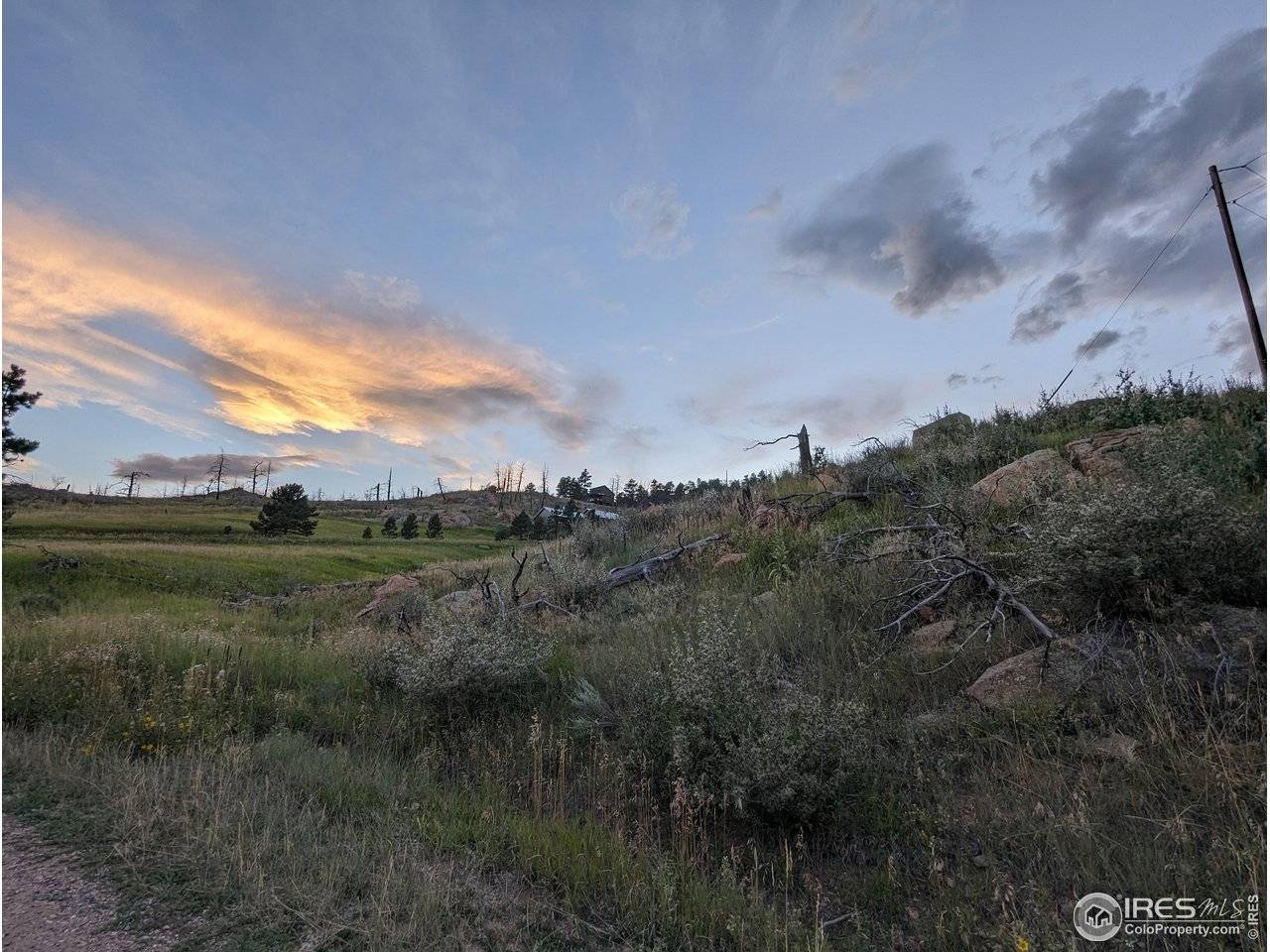 1737 Eiger, Livermore, CO 80536