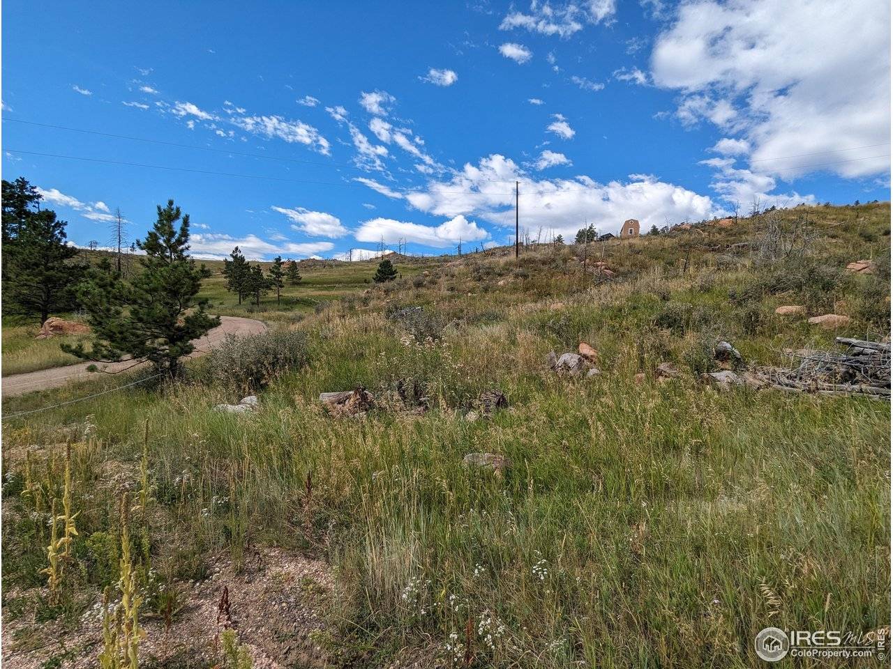 1737 Eiger, Livermore, CO 80536