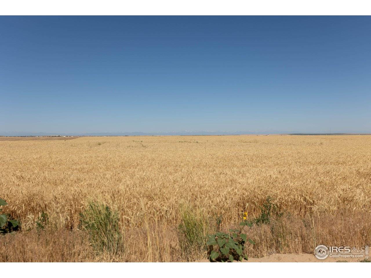 2 104th Avenue, Bennett, CO 80102