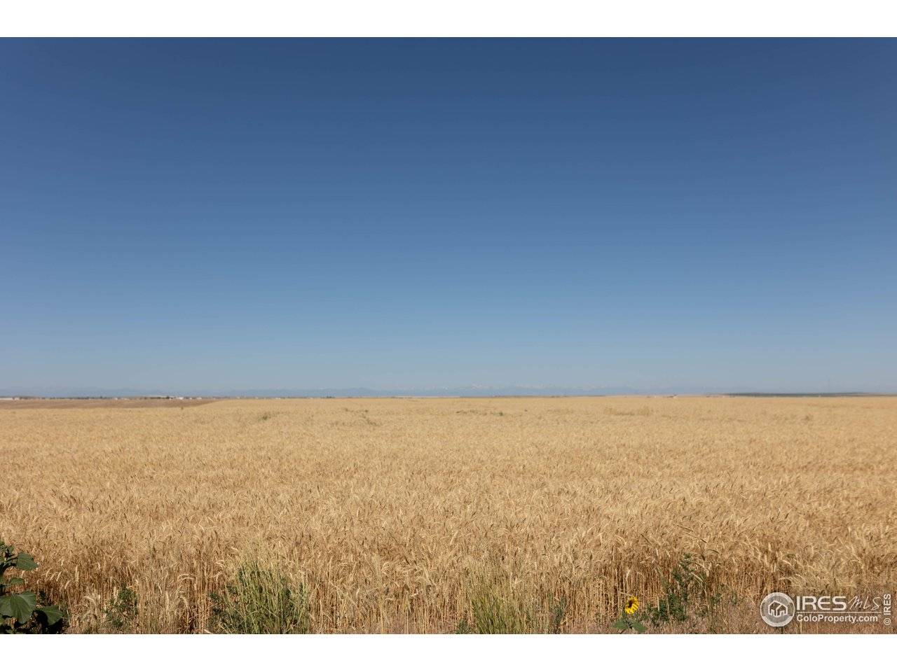 2 104th Avenue, Bennett, CO 80102