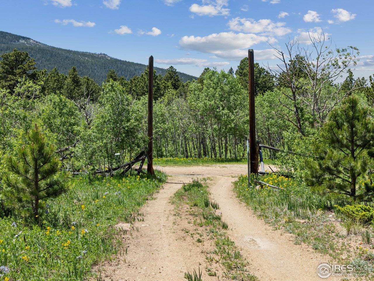 494 N Skinner, Allenspark, CO 80510