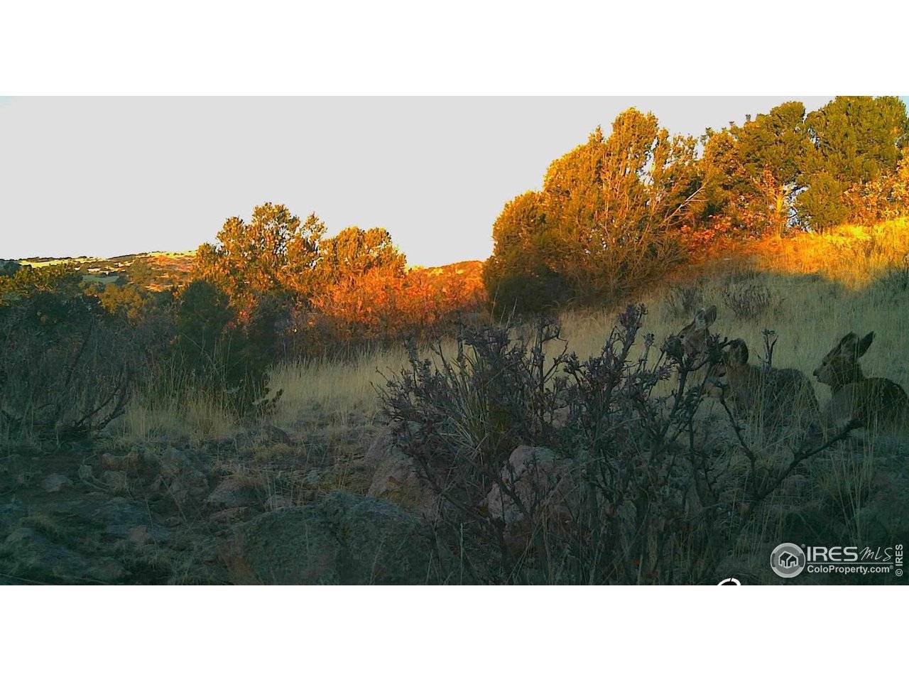 0 Cap Rock #4, Canon City, CO 81212