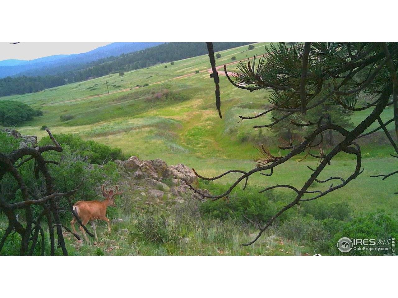 0 Cap Rock #4, Canon City, CO 81212
