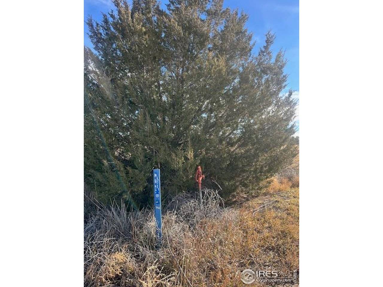 4820 County Rd H, Wiggins, CO 80654