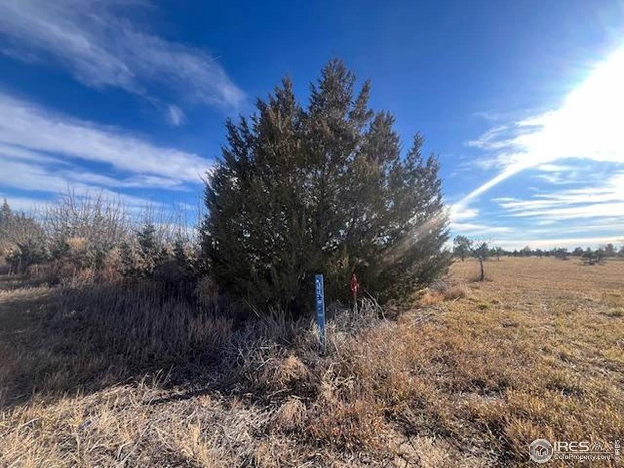 4952 County Rd H, Wiggins, CO 80654