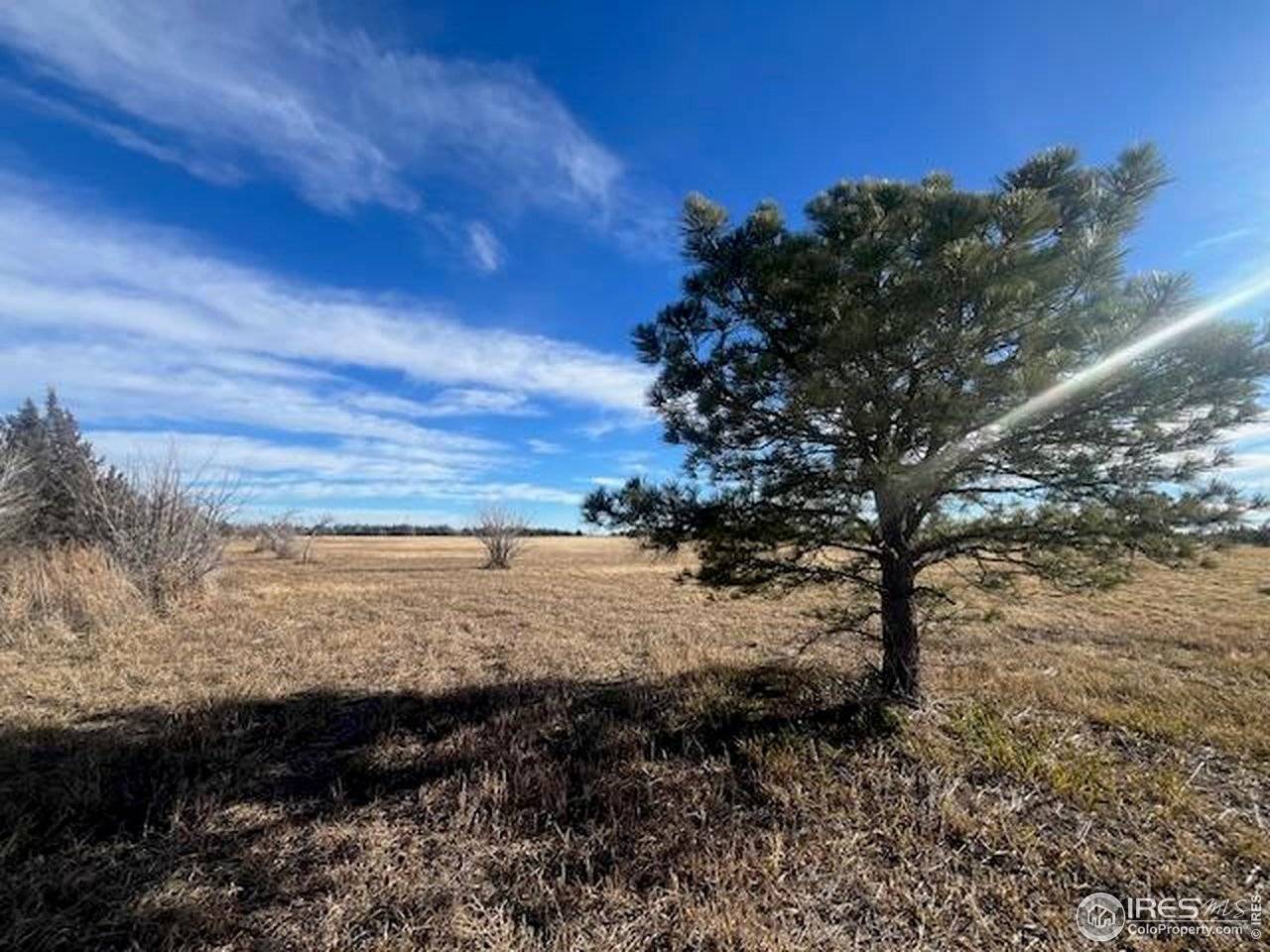 4956 County Rd H, Wiggins, CO 80654