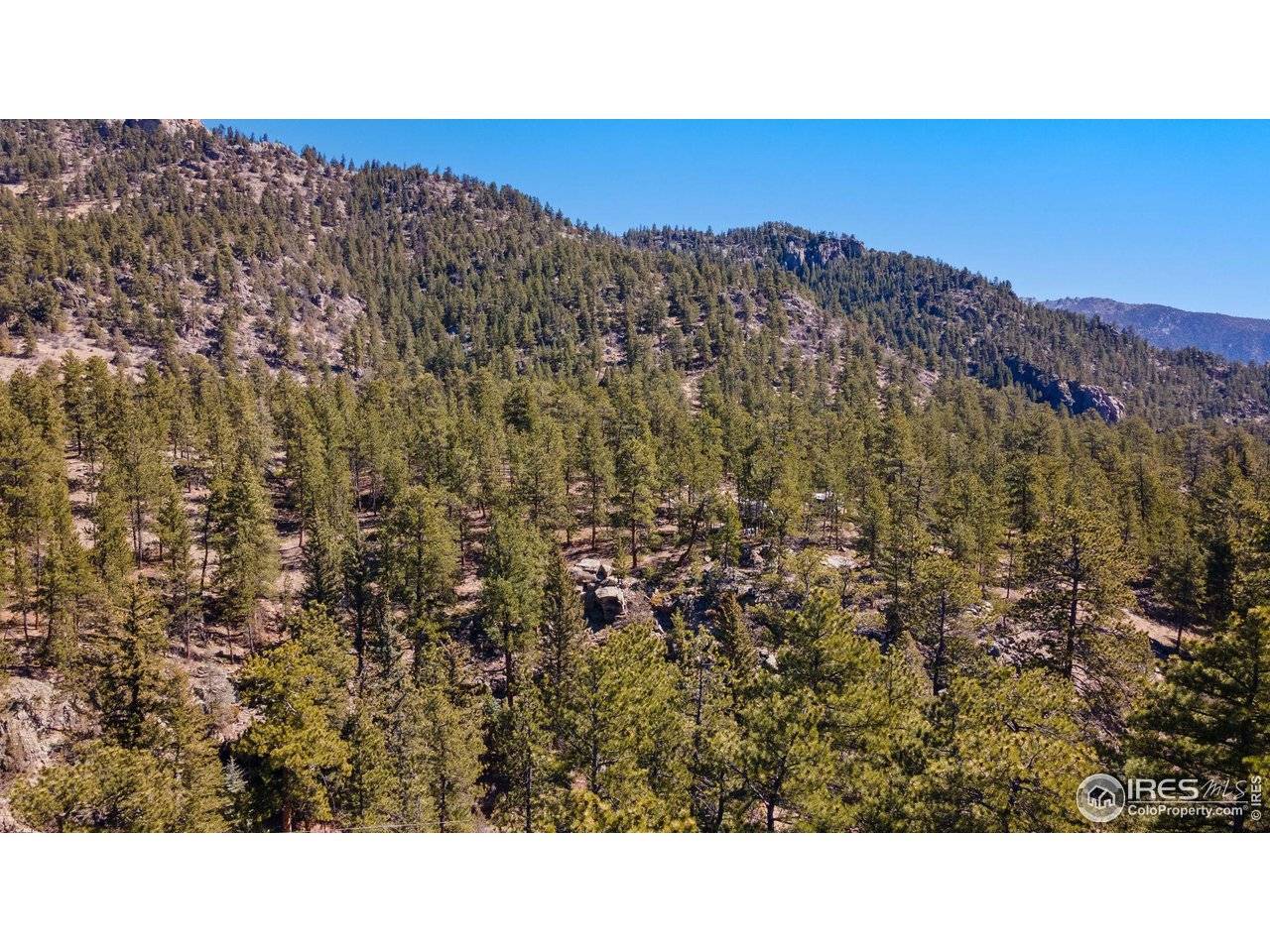 105 Fox Creek, Glen Haven, CO 80532