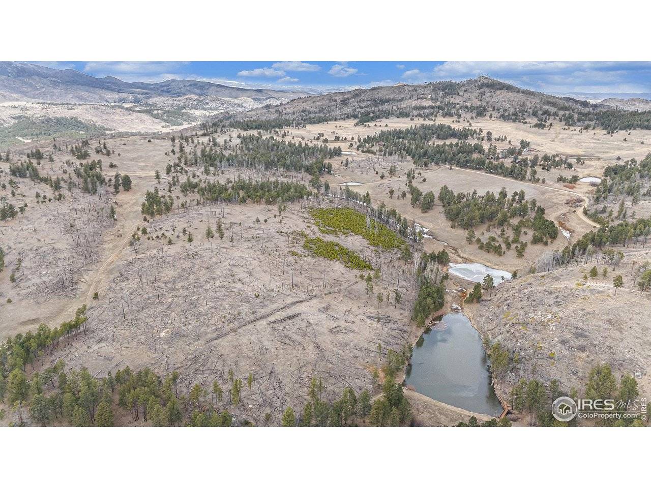 0 Tip Top, Bellvue, CO 80512