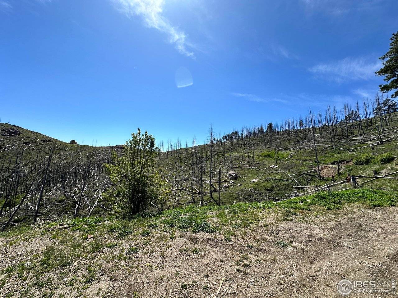 100 Canyon Gulch, Bellvue, CO 80512