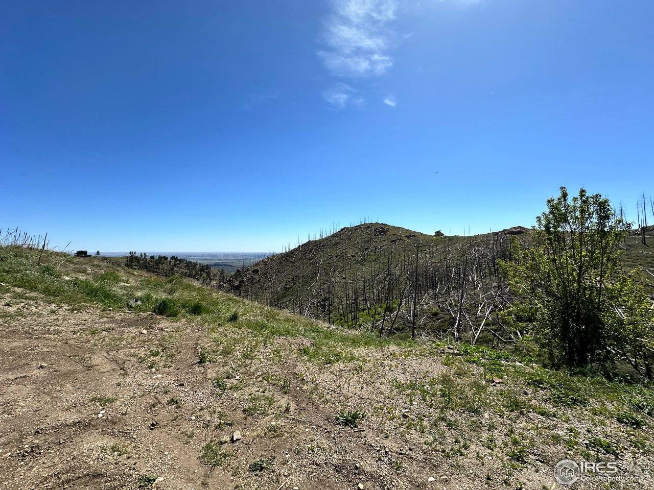 100 Canyon Gulch, Bellvue, CO 80512