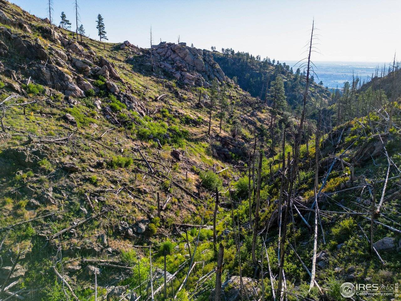 100 Canyon Gulch, Bellvue, CO 80512