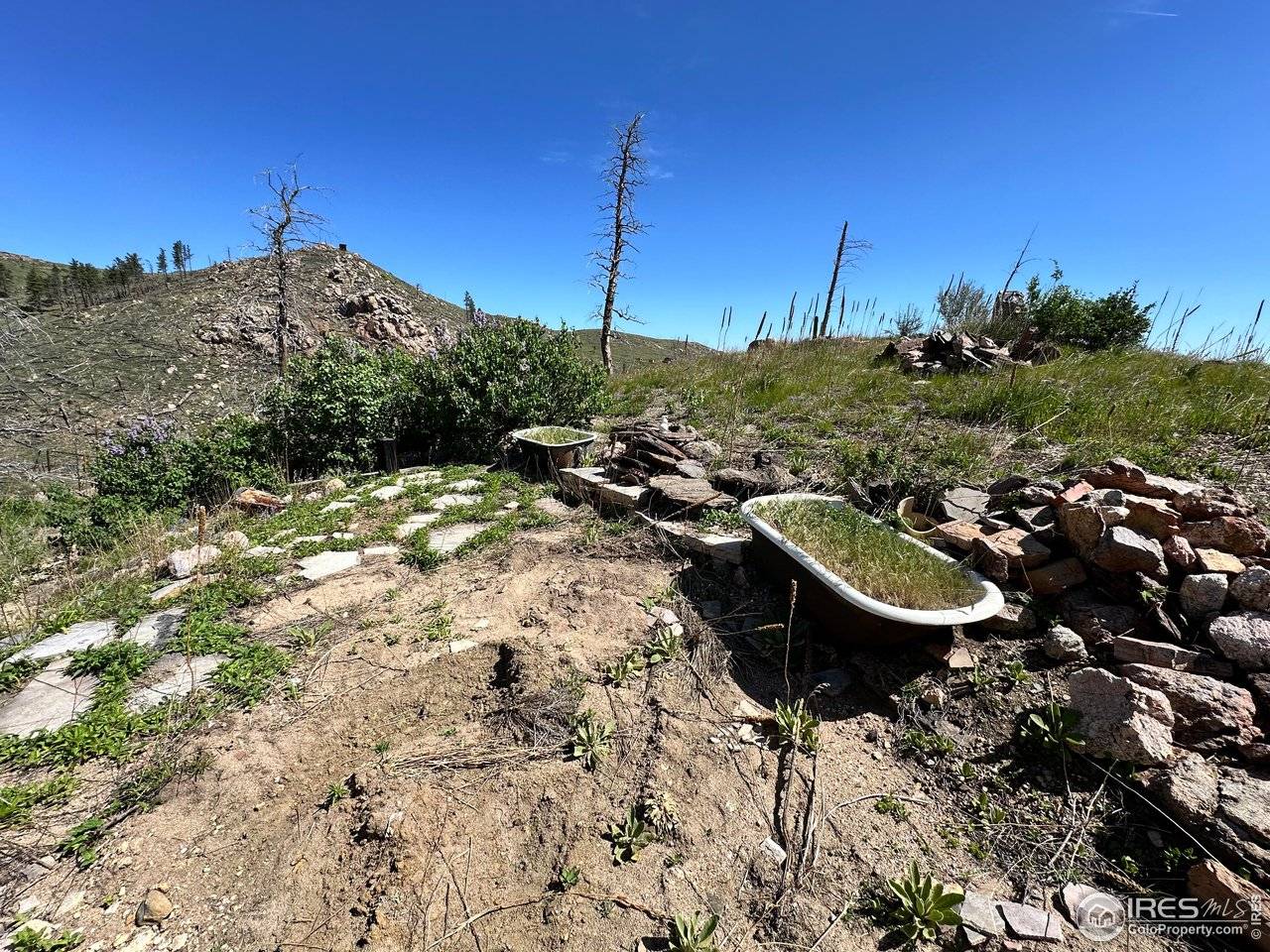 100 Canyon Gulch, Bellvue, CO 80512