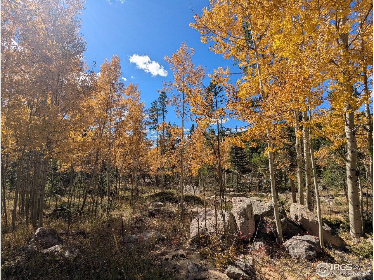 2182 Osage, Red Feather Lakes, CO 80545