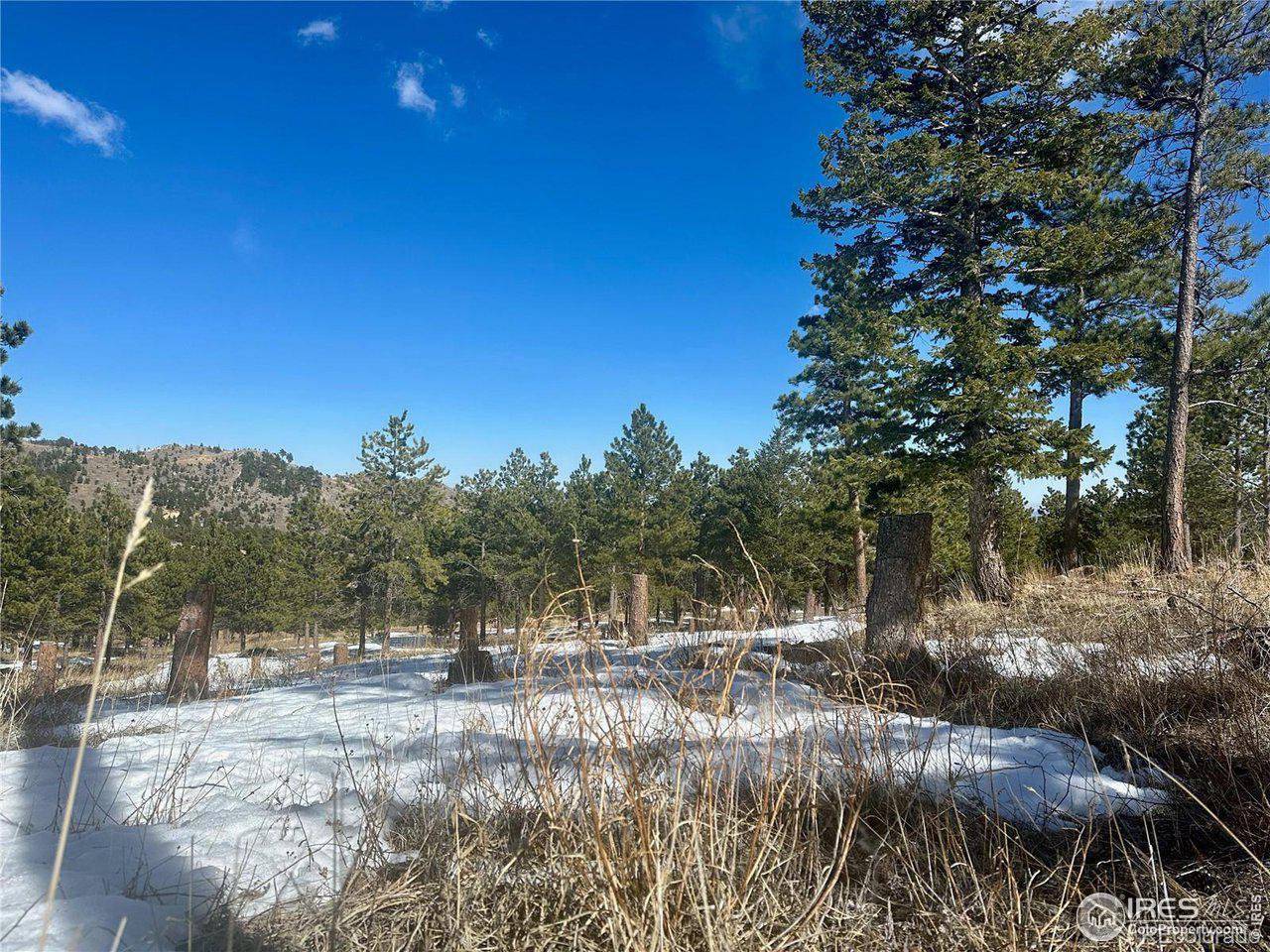 783 Dixon, Boulder, CO 80302