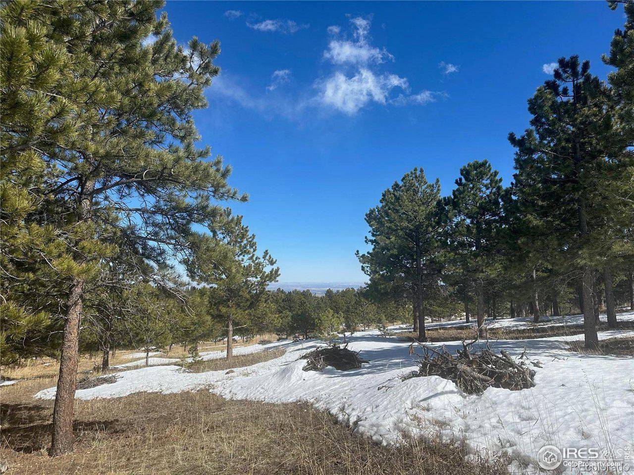 783 Dixon, Boulder, CO 80302