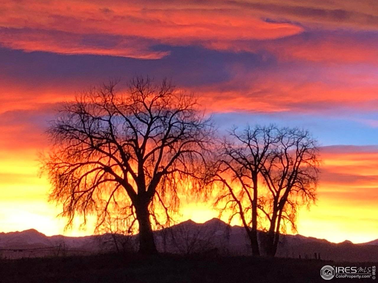 8081 E County Road 16, Johnstown, CO 80534