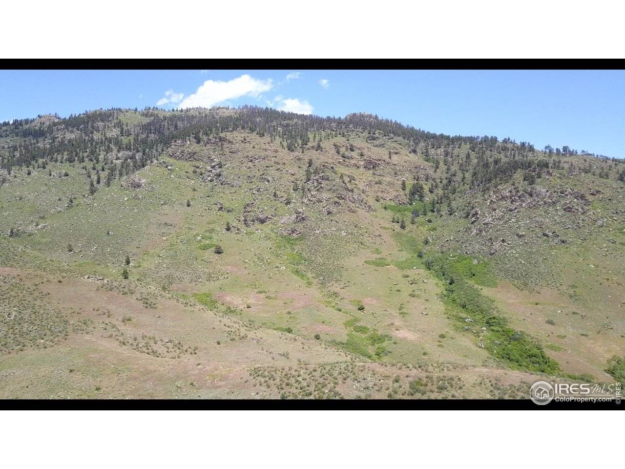 14750 Buckhorn, Loveland, CO 80538