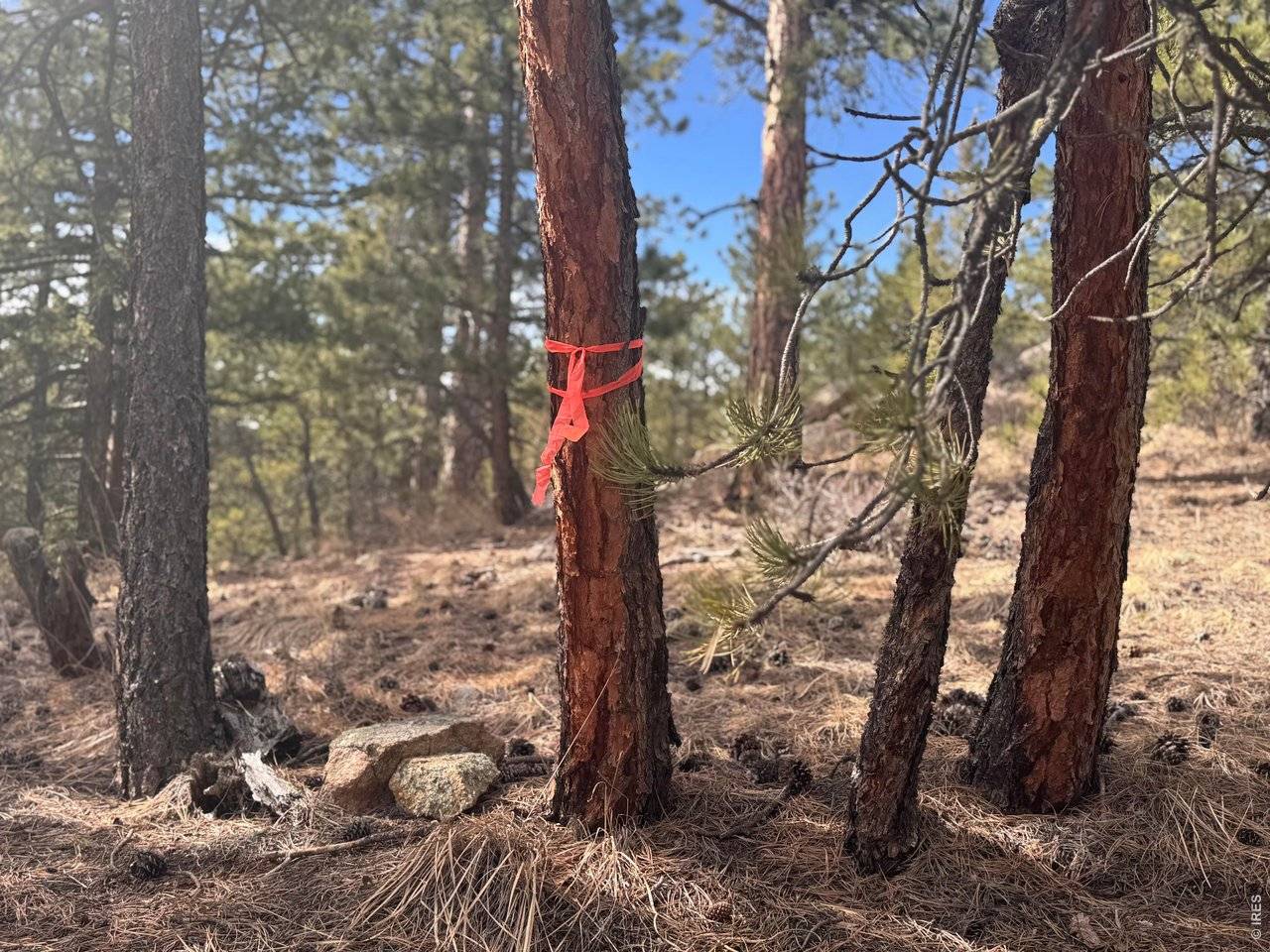 0 Cedar, Lyons, CO 80540