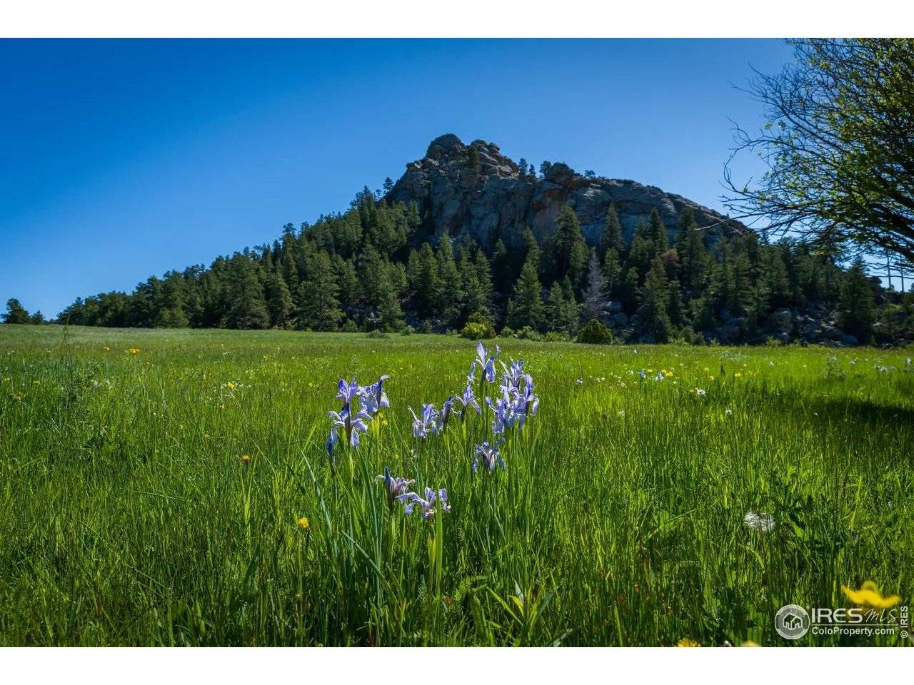Mountain Pony, Livermore, CO 80536