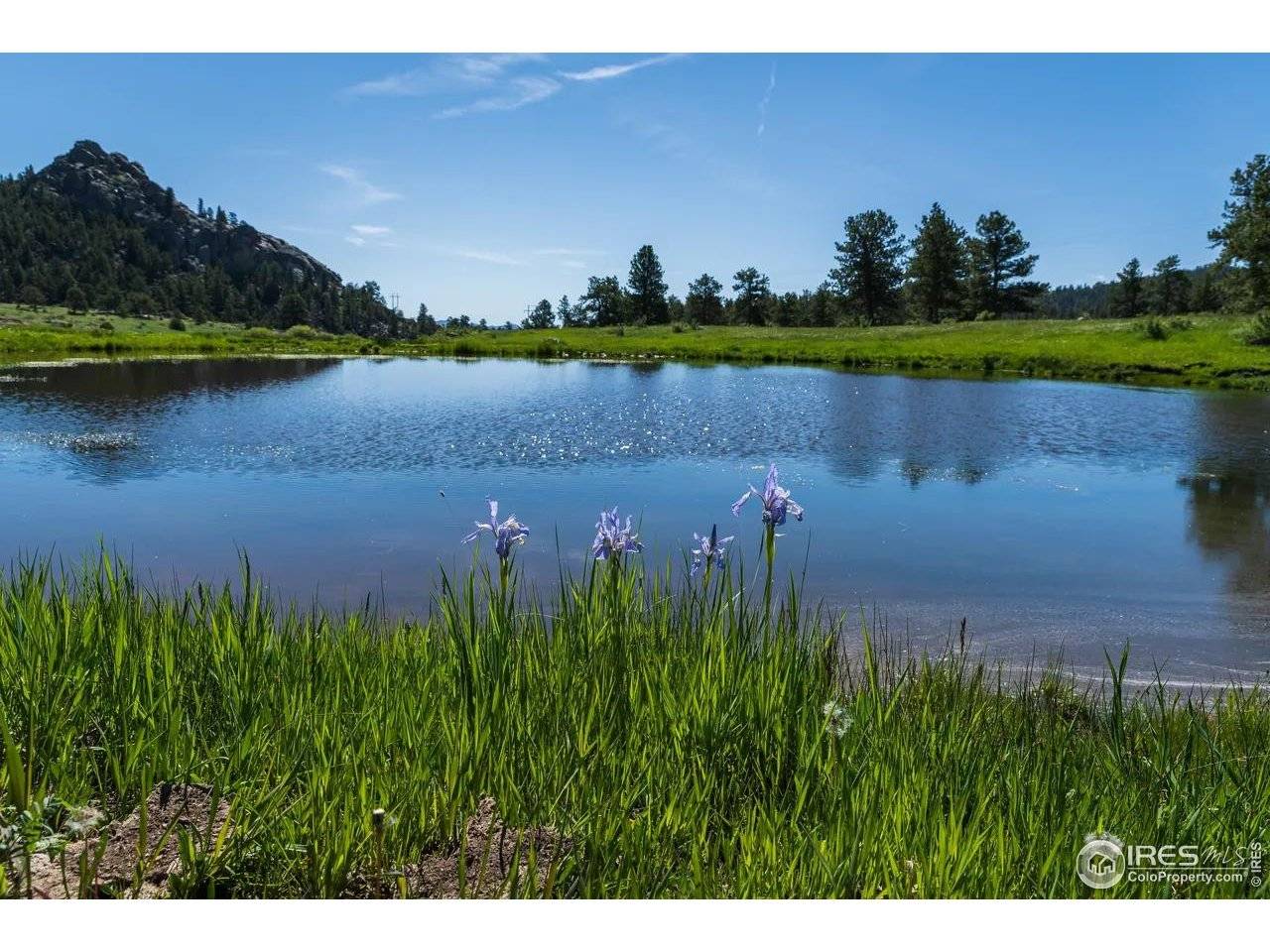 Shoshana Ranch, Livermore, CO 80536