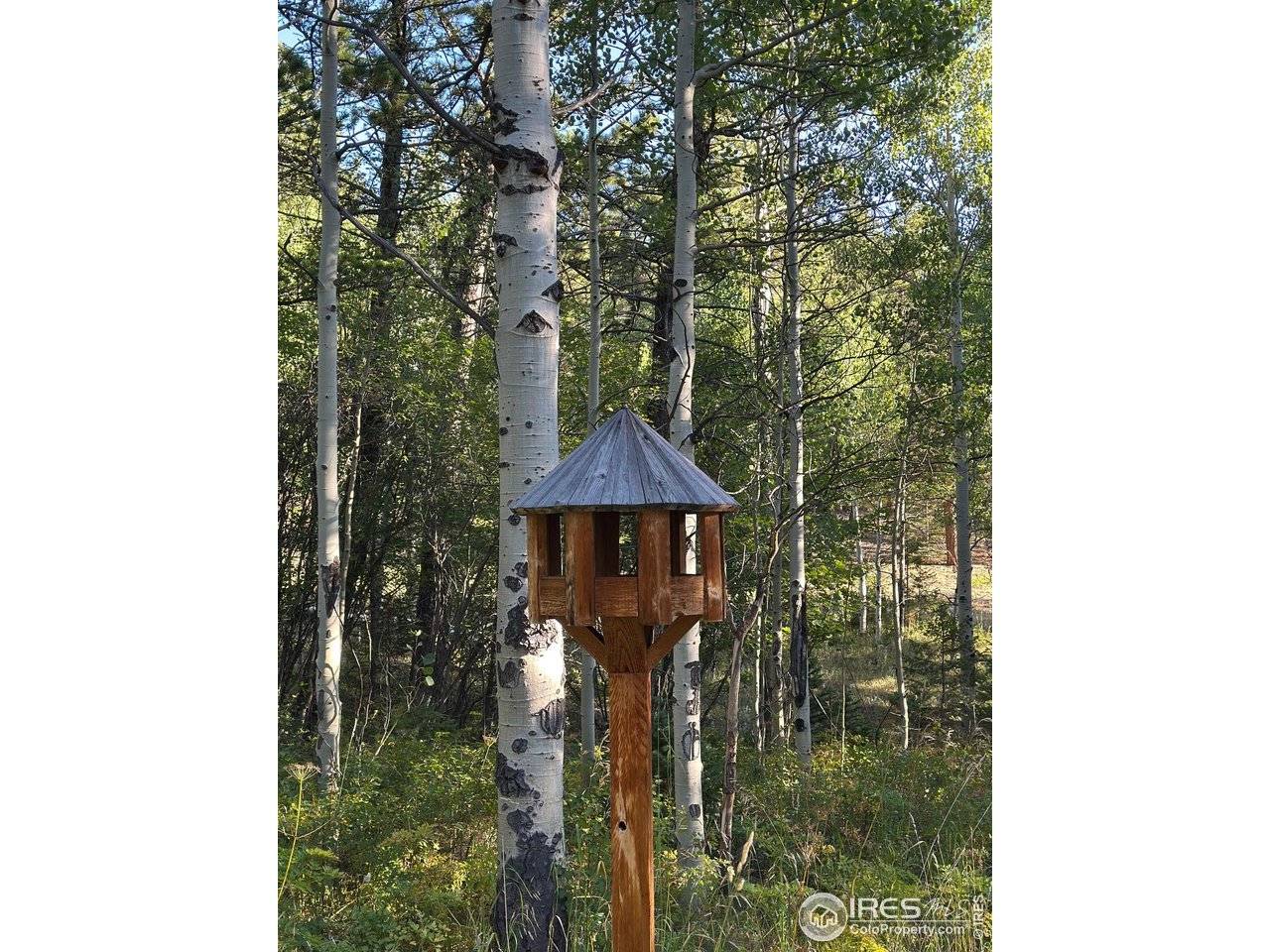251 Haugen Slide, Allenspark, CO 80510
