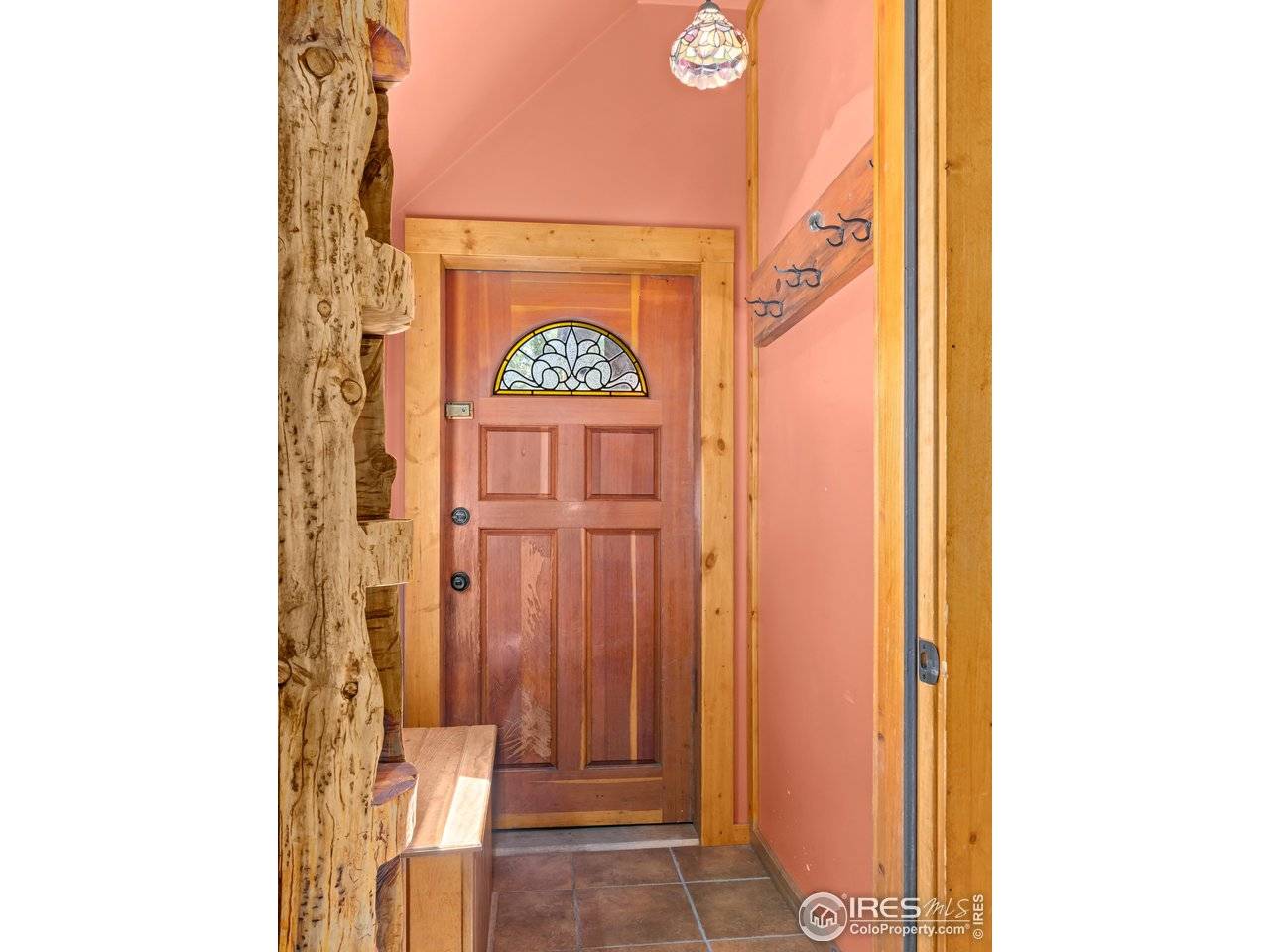 251 Haugen Slide, Allenspark, CO 80510