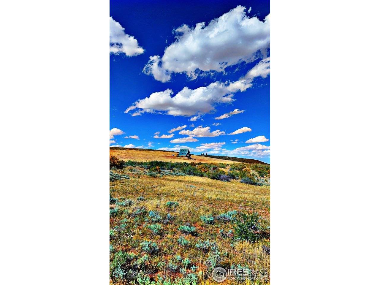867 Windy Ridge, Red Feather Lakes, CO 80545