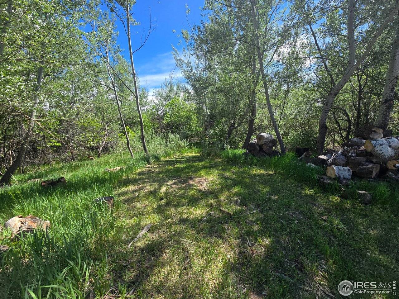 2001 W Prospect, Fort Collins, CO 80526