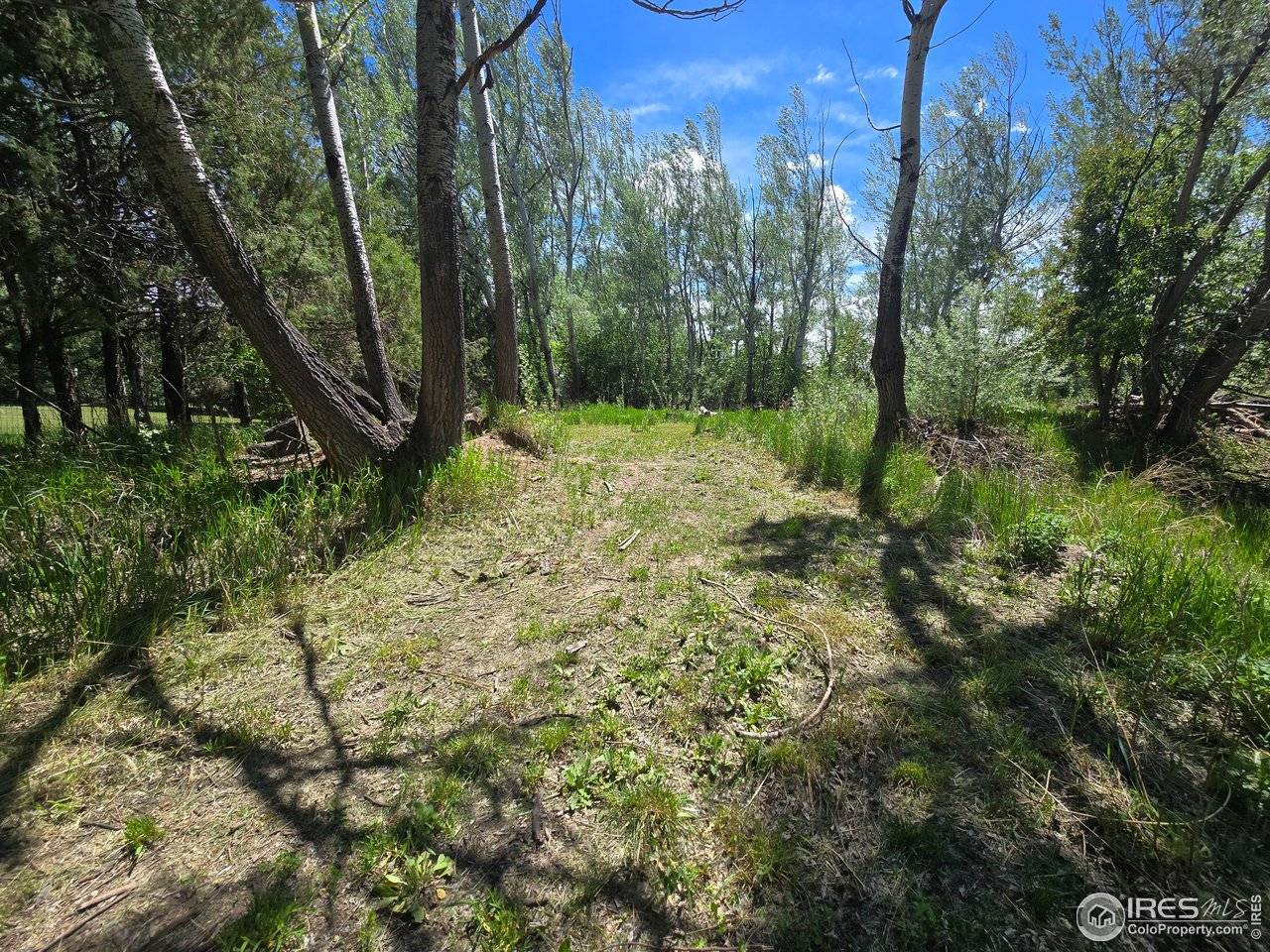 2001 W Prospect, Fort Collins, CO 80526