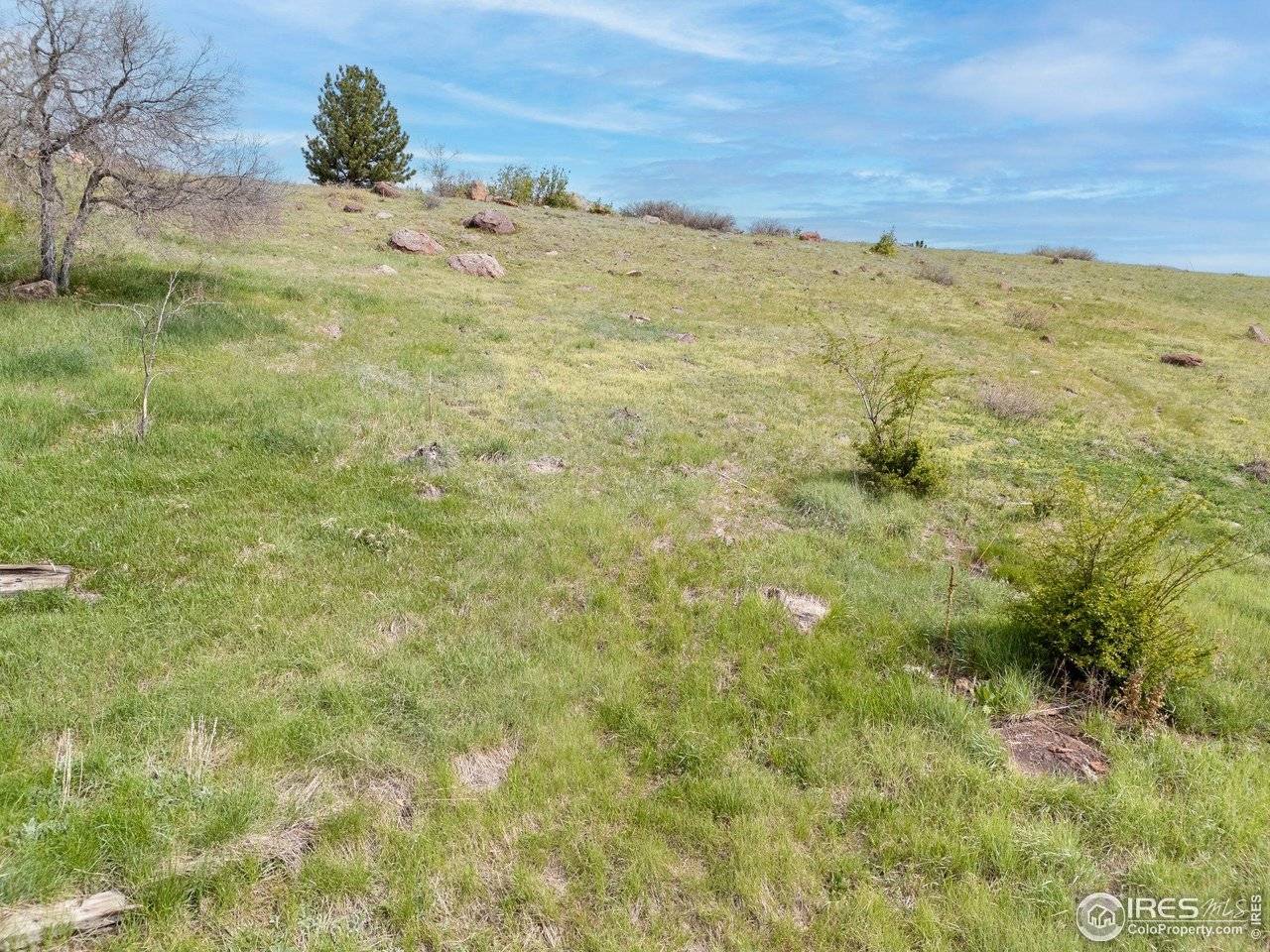 1965 Kohler, Boulder, CO 80305