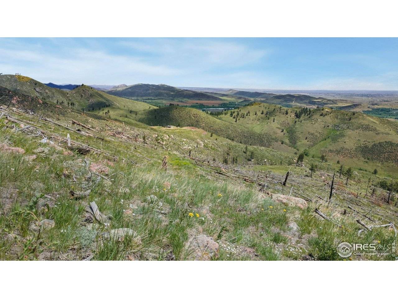 898 Hernia Hill, Bellvue, CO 80512