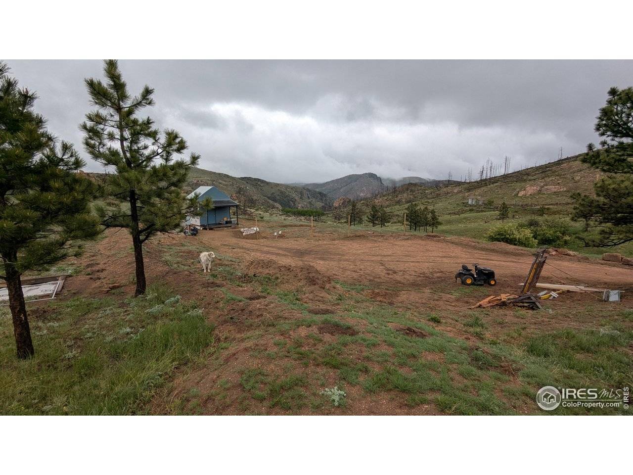 42 Smokey Mountain, Livermore, CO 80536