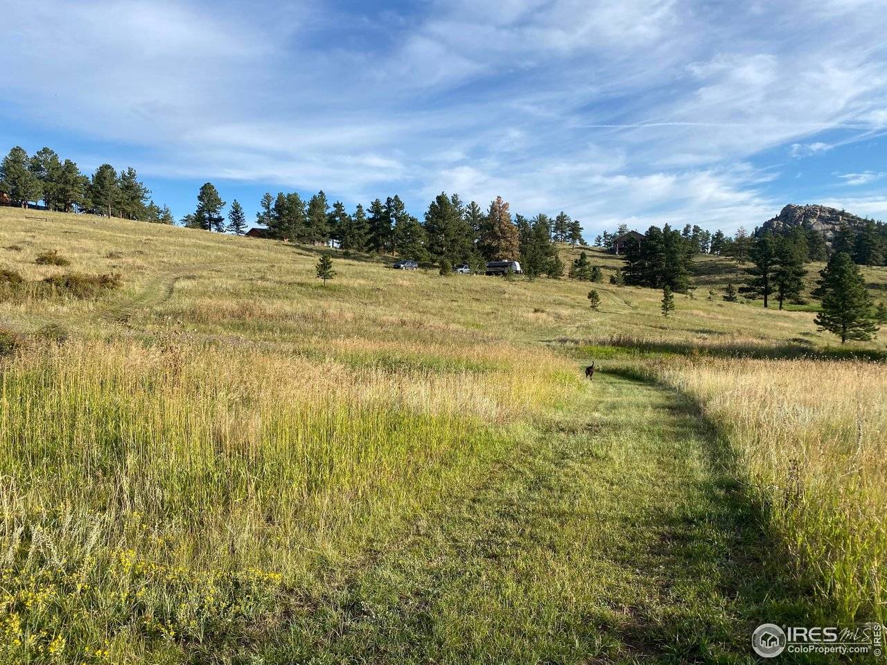 78 Mount Champion, Livermore, CO 80536