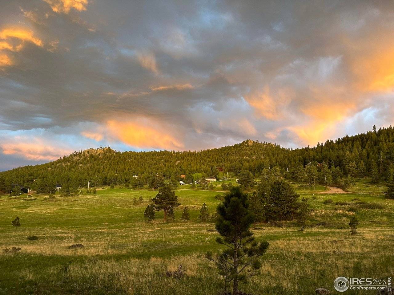 78 Mount Champion, Livermore, CO 80536
