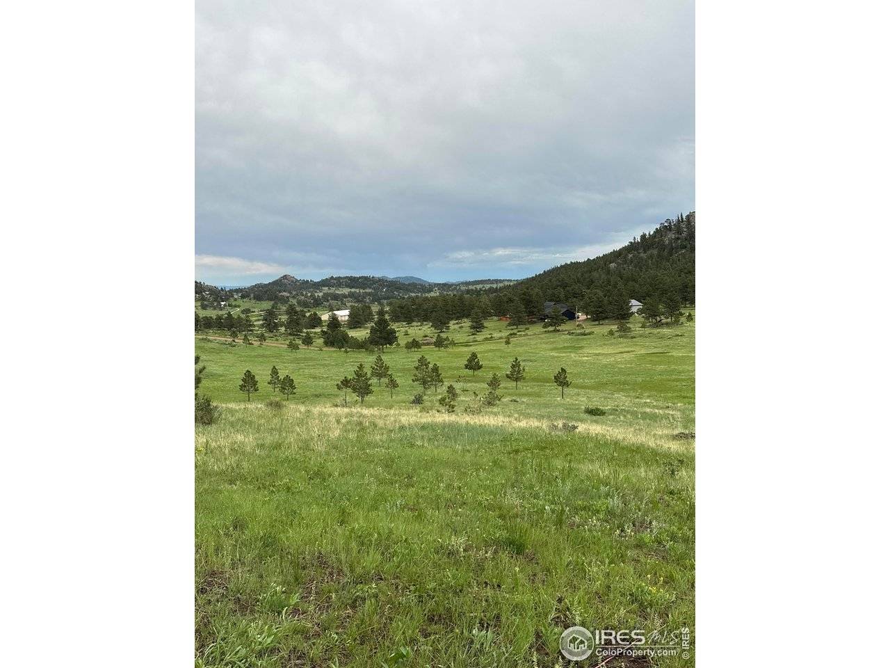 78 Mount Champion, Livermore, CO 80536